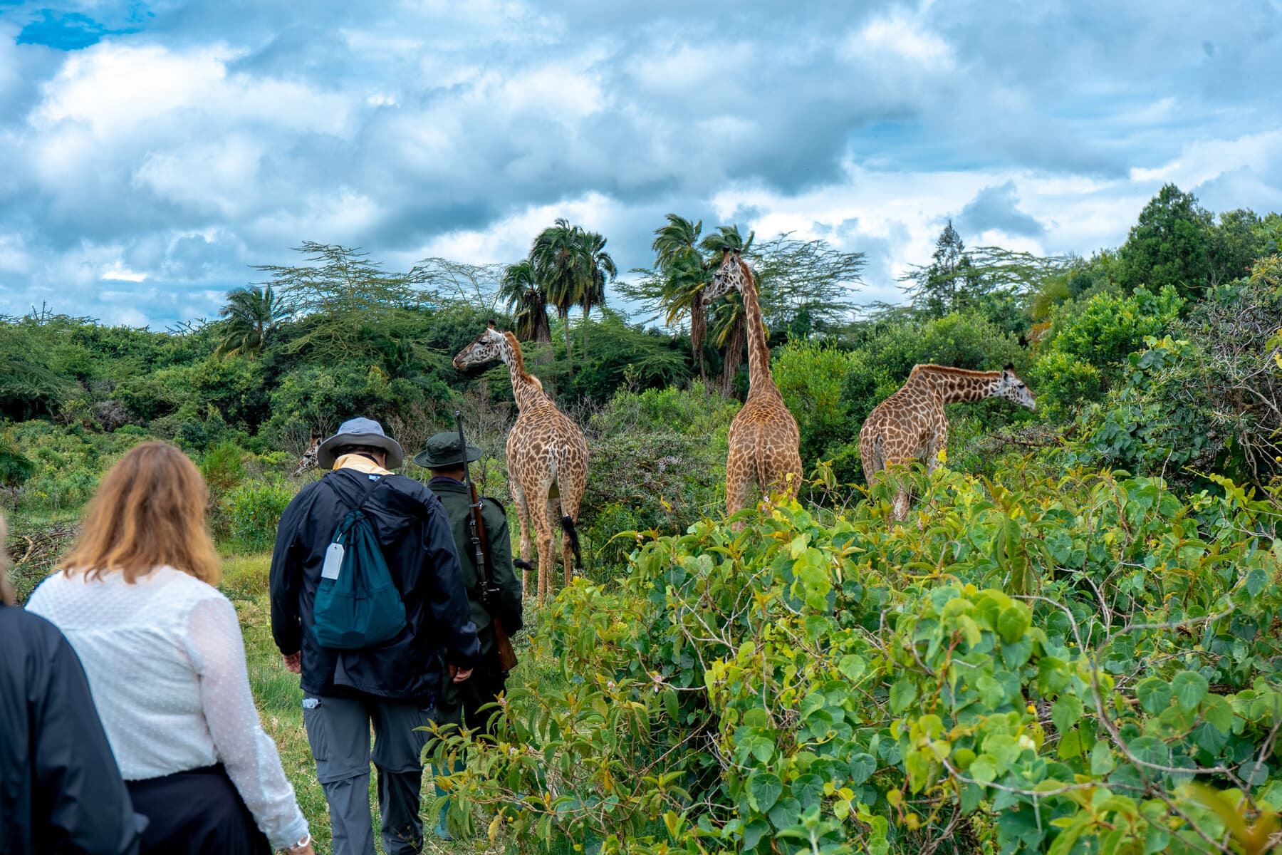 Travellers watching giraffes in Tanzania
