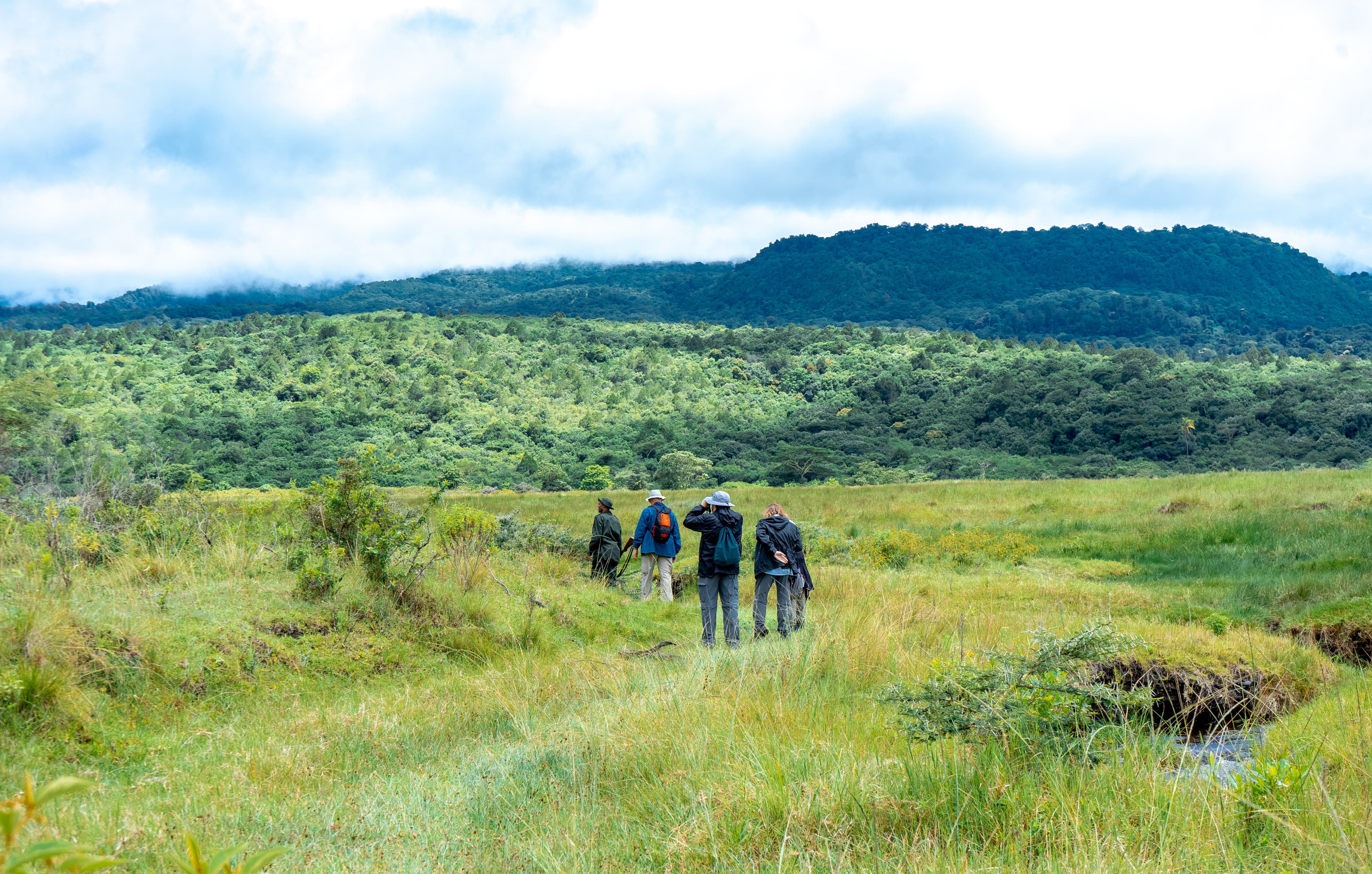 Rongai Route